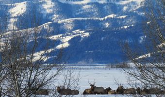 300 W TETON HIDEAWAY Dr, Alta, WY 83414