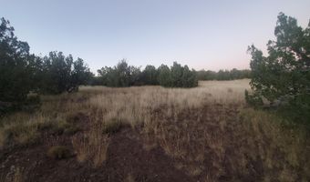 1 COUNTY ROAD N8155, Concho, AZ 85924