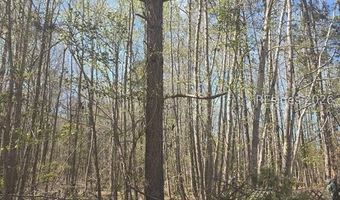 Freeman Street lot 5, Brunson, SC 29911
