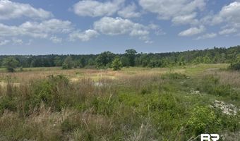 39207-1 St Hwy 59, Bay Minette, AL 36507