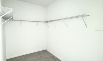 2392 RIDER RAIN Ln, Apopka, FL 32703