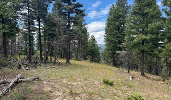 S Vail Overlook lot 310, Angel Fire, NM 87710