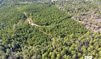 Jones Lane, Bay Minette, AL 36507