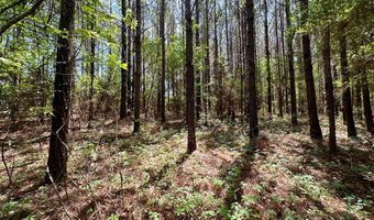 2316 Traci Loop, Bogue Chitto, MS 39629