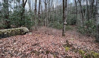 Lt 170 Granny Squirrel Drive 170, Andrews, NC 28901