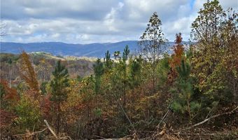 125 Ahart Ridge Rd 163, Ararat, VA 24053