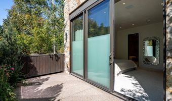 1154 E Cooper Ave B, Aspen, CO 81611