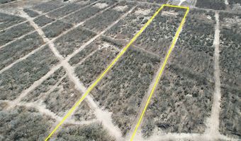 179 County Road 1461 Lot 9, Alice, TX 78332