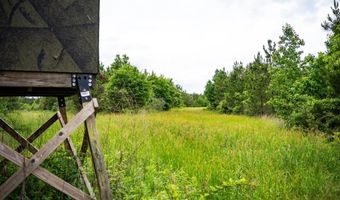 7399 Amon Hill Rd, Bastrop, LA 71220