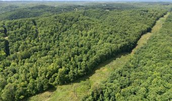 2401 Bell Point Rd, Beattyville, KY 41311