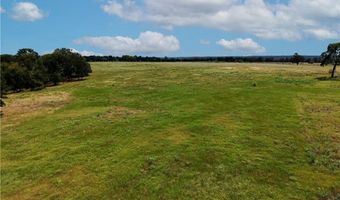 Tbd Tract 5 Fm-2819, Anderson, TX 77830