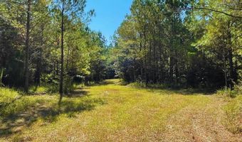 0 CR 320, Big Creek, MS 38914
