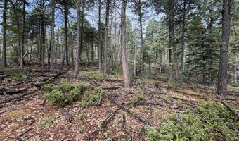 Vermejo Cir lot 15, Angel Fire, NM 87710