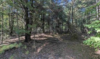 N Forest Lake Drive, Alger, MI 48610