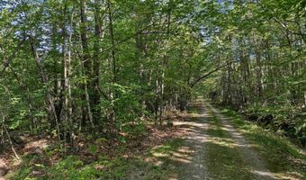 Chamberlain Road 11, Alton, NH 03809