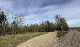 Lot 8 Airline Road, Alexander, ME 04694