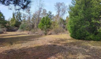 Tommy Tucker Road lot 4, Altha, FL 32421