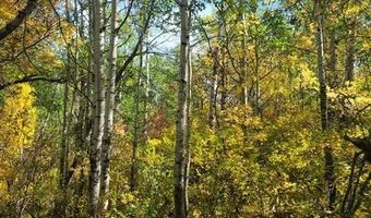 Birchwood Heights 2nd Addition lot 15, Bottineau, ND 58318