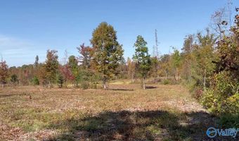 1191 County Road 326, Flat Rock, AL 35966