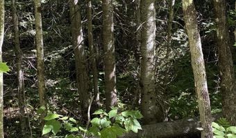 Old Franconia Road, Bethlehem, NH 03574