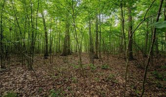 County Road 2, Addison, NY 14801