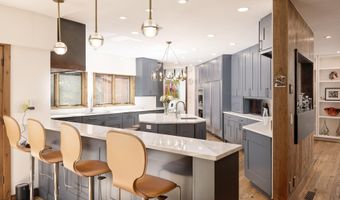 970 Powder Ln, Aspen, CO 81611