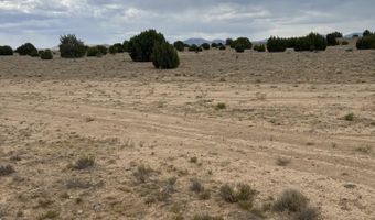 8206 TBD N8206, Concho, AZ 85924