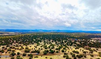Tbd Co Rd 8256 Lot D 10 Acres, Concho, AZ 85924