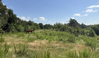 Beauty Hill Rd lot 2, Bethel Springs, TN 38315
