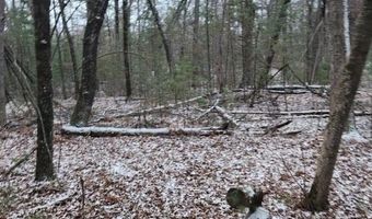 19 Th Pass Lot 19, Arkdale, WI 54613