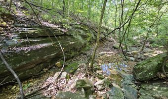 65 Acres Plainview Rd, Anderson, MO 64831