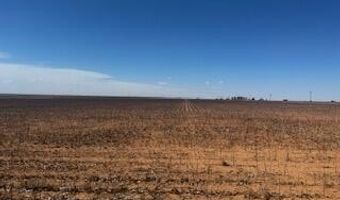 Farm To Market Rd 54, Abernathy, TX 79311