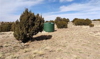 15 County Rd N8641, Concho, AZ 85924
