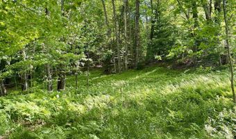 Old Farm Road, Burke, VT 05871