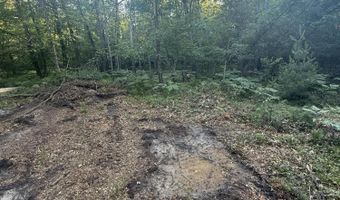 Michael Drive, Alger, MI 48610