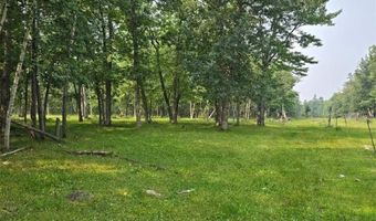 Tbd State 87 SW, Backus, MN 56435