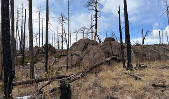 2025 Granite Rd, Bellvue, CO 80512