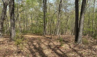Gladys Road, Altavista, VA 24517