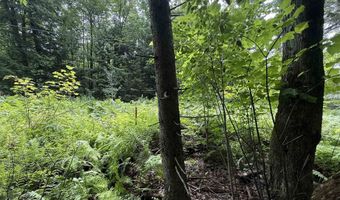 1386 Clif Reynolds Rd, Cambridge, VT 05444