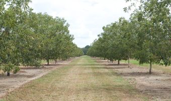 9953 Gravel Hl, Baconton, GA 31716