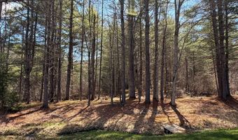 815 W Side Rd, Bartlett, NH 03812