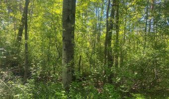 Townline Road, Angelica, NY 14709