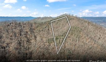 31 Reillys Bluff Rd 2, Barnardsville, NC 28709