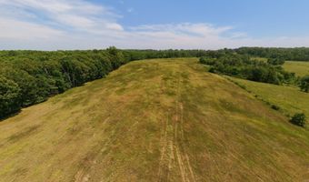 N County Road 113, Alton, MO 65606