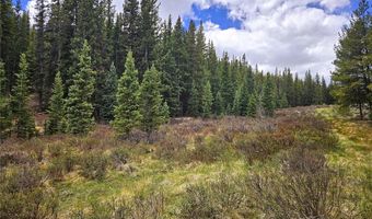 PCS # 10594 Looney Lane lot 0, Alma, CO 80420