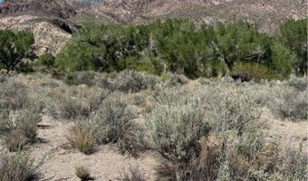 Carp Road, Caliente, NV 89008