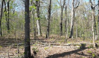 000 S Plainview, Anderson, MO 64831