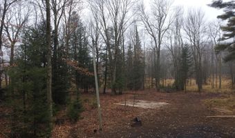 N10595 HWY 45, Aniwa, WI 54414