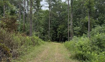 154 County Road 38 Acres, Banks, AL 36005