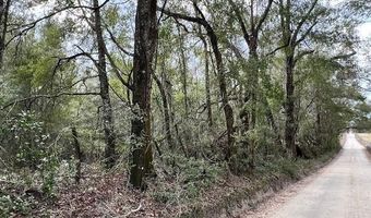 85 Th St, Bell, FL 32619